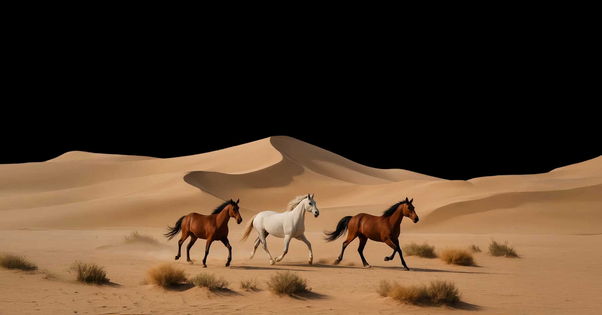 Three horses running across sand dunes